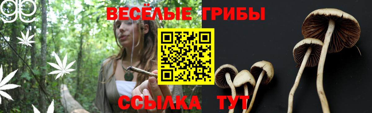 Галлюциногенные грибы Magic Shrooms Междуреченск
